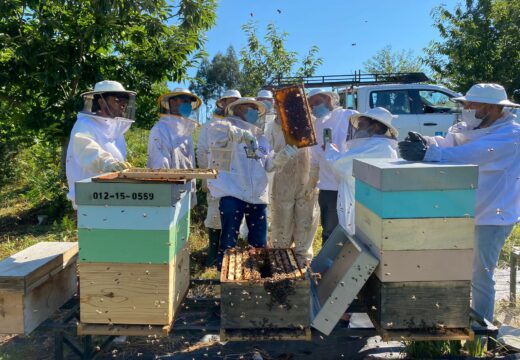 Profesionais da apicultura formáronse nos cursos da Xunta sobre reprodución do apiario no CFEA de Sergude